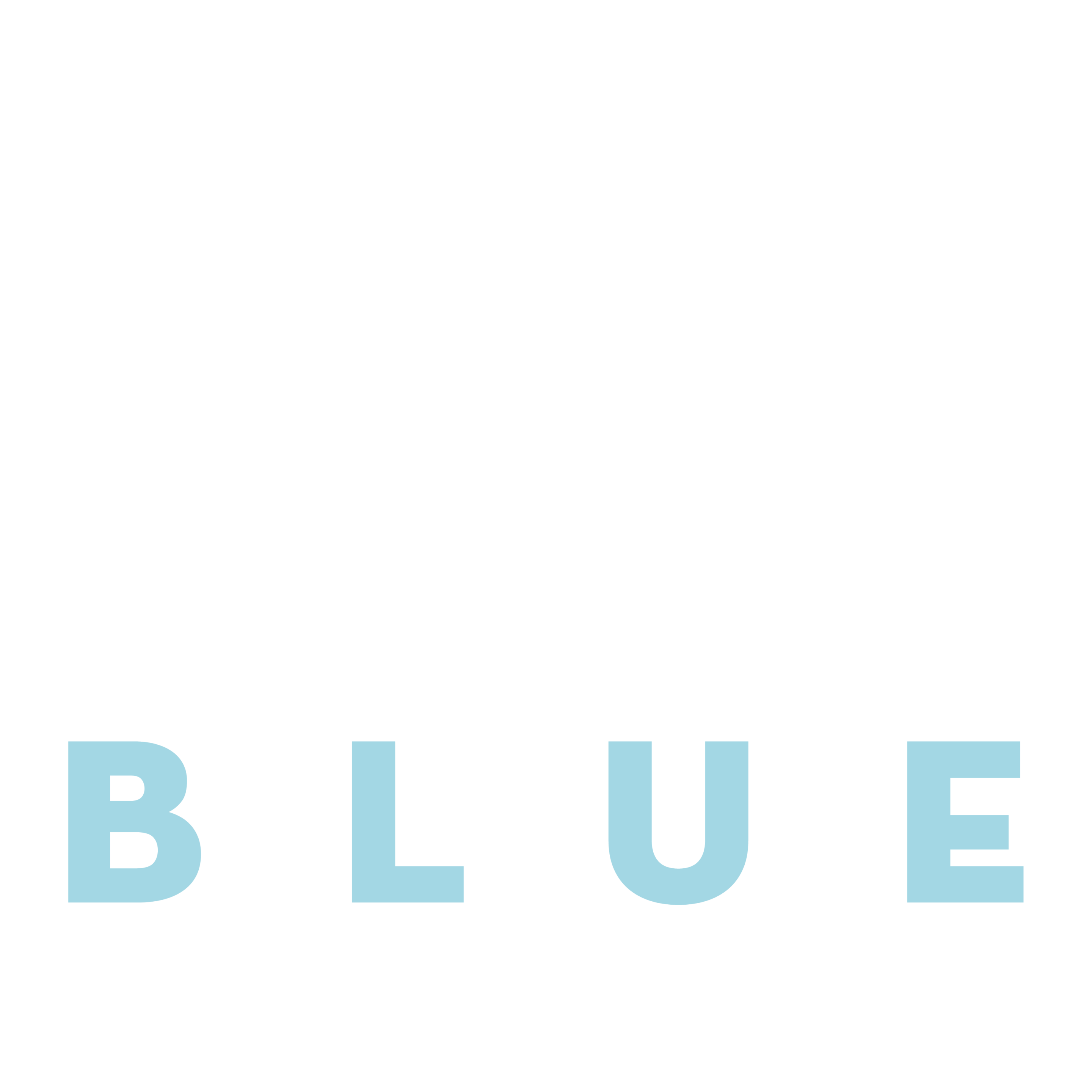 Blue Diamond Environmental